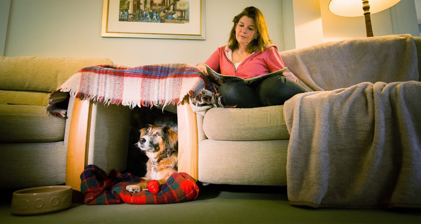Top Tips to keep your dog calm during fireworks